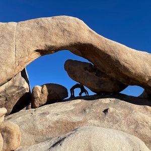 Meet your Posher, Monica